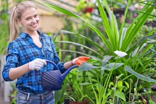 Senior review of a landscaping concern