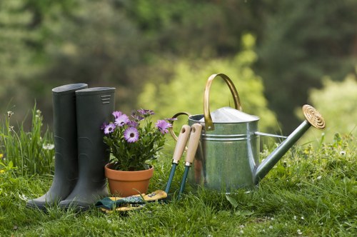 Decorative and practical fencing options for properties near Millbank