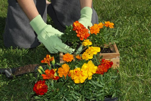 Recording a landscaping issue in a service log