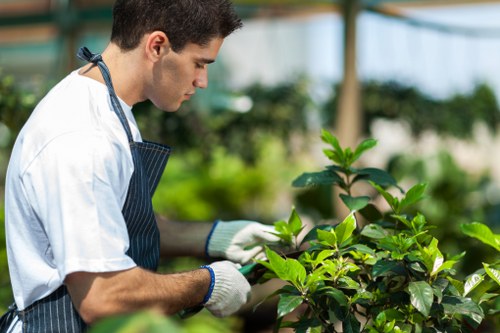 Analytics and performance monitoring concept for a landscaping site