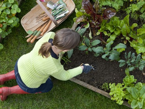Example of cubic-yard waste pricing for a Millbank garden clearance job