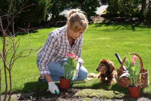 Professional landscaping features and planting layout in Millbank