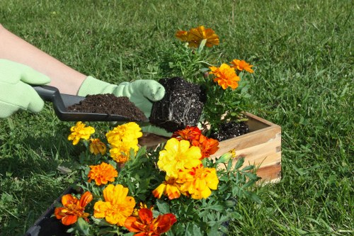 Landscaping Millbank pricing overview with clear rates and free estimates